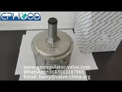 FGDR32/50 モデル アルミニウム ガス圧力調整器（内蔵フィルター付き）イタリア Giuliani Anello 製