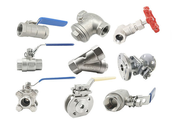 304の316のSsの螺線形の傷つけられたガスケットが付いている衛生密集した球弁NPTの糸