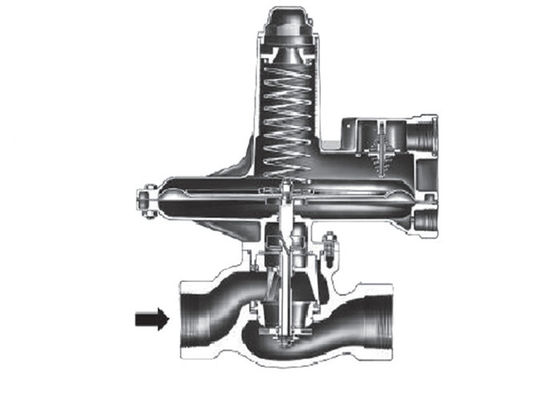 鉄のフィッシャー延性がある133Lシリーズは調整装置を減らす作動させたガス圧力を指示します